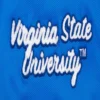 Virginia cavaliers womens classic blue logo