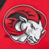 Winston salem state rams hbcu vintage redblack wool leather varsity patch logo