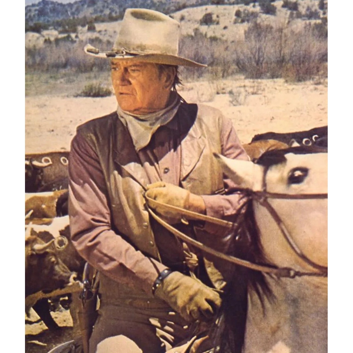 John wayne brown vest